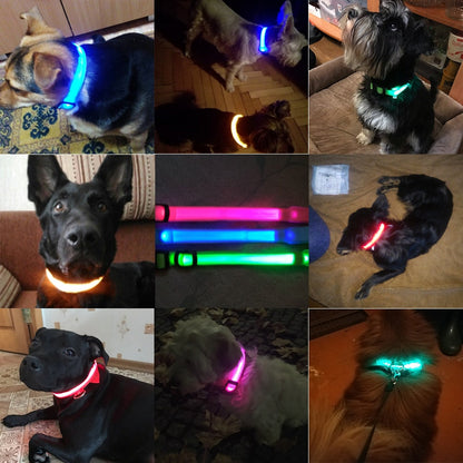 LED Dog Collar with Rechargeable Battery – Durable, Water-Resistant, and Adjustable for All Sizes 8