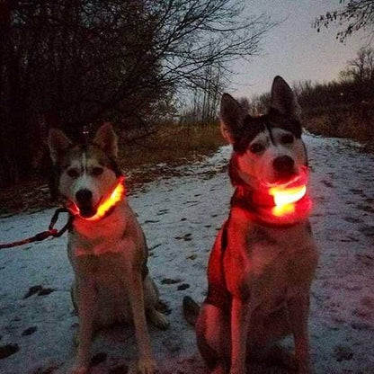 LED Dog Collar with Rechargeable Battery – Durable, Water-Resistant, and Adjustable for All Sizes 9