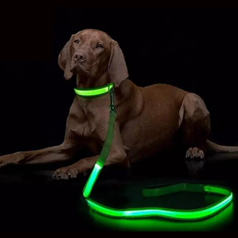 LED Dog Leash with USB Rechargeable Light – Ergonomic Nylon Handle, 120cm Length, Multiple Light Modes for Night Walks 0