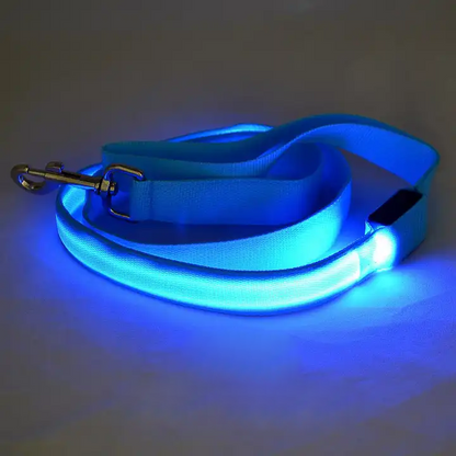 LED Dog Leash with USB Rechargeable Light – Ergonomic Nylon Handle, 120cm Length, Multiple Light Modes for Night Walks 5