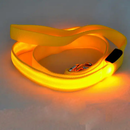 LED Dog Leash with USB Rechargeable Light – Ergonomic Nylon Handle, 120cm Length, Multiple Light Modes for Night Walks 6