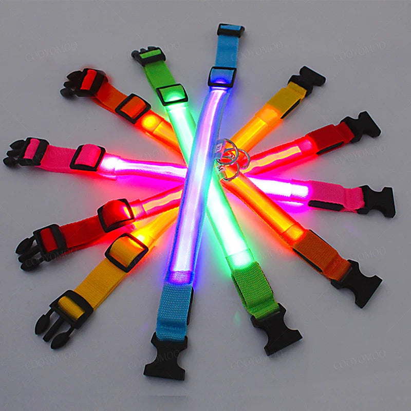 LED Safety Collar for Pets – USB Rechargeable, Water Resistant, 3 Light Modes for Dogs and Cats 0