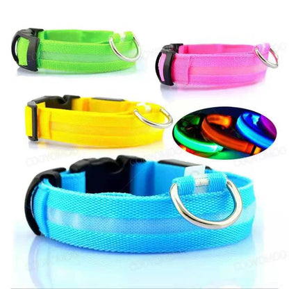 LED Safety Collar for Pets – USB Rechargeable, Water Resistant, 3 Light Modes for Dogs and Cats 1