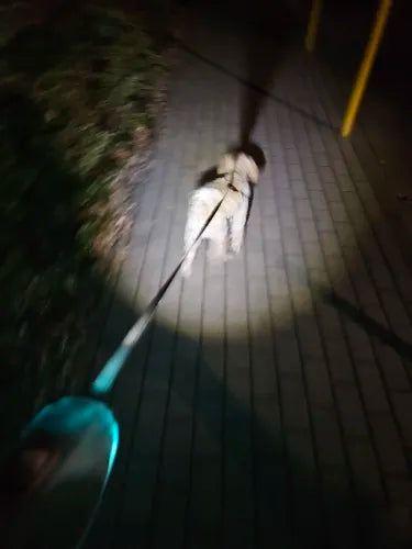 LED Safety Dog Leash with 5m Range – Enhanced Visibility for Night Walks, Durable Plastic and Nylon Construction 2