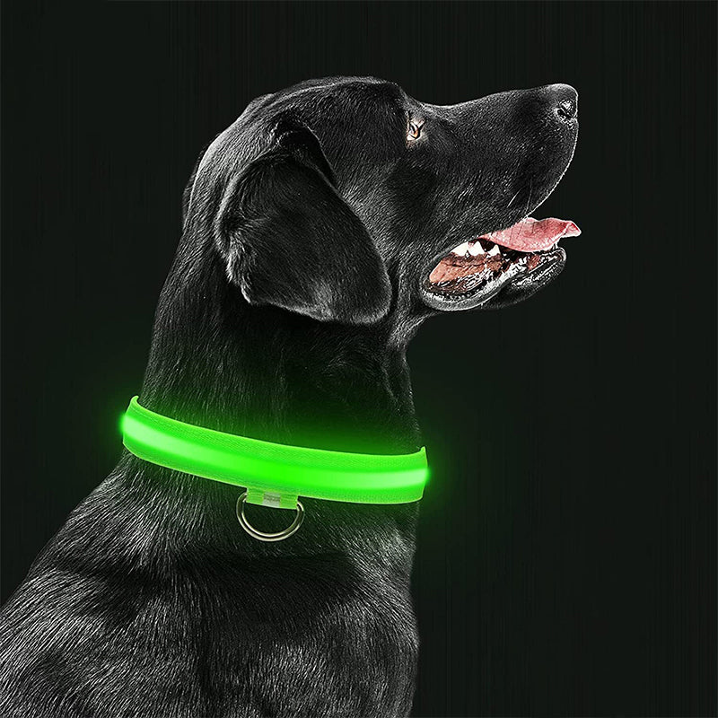 LED Safety Pet Collar - Rechargeable, Water Resistant, Soft & Durable Design for Dogs - Multiple Colors Available 1