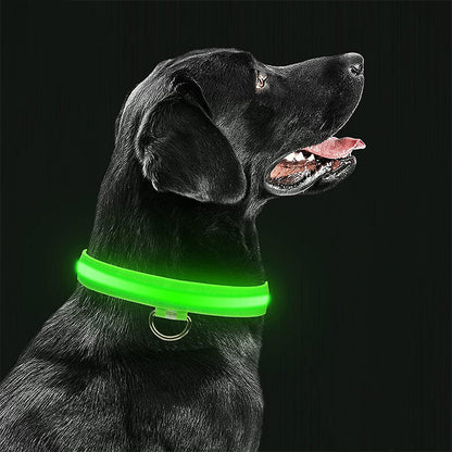 LED Safety Pet Collar - Rechargeable, Water Resistant, Soft & Durable Design for Dogs - Multiple Colors Available 1