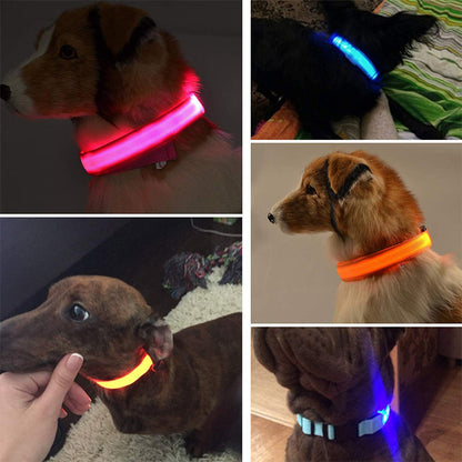 LED Safety Pet Collar - Rechargeable, Water Resistant, Soft & Durable Design for Dogs - Multiple Colors Available 2