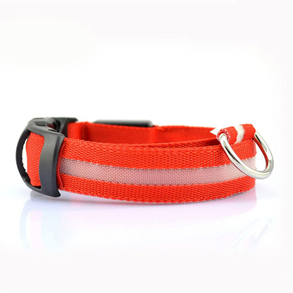 LED Safety Pet Collar - Rechargeable, Water Resistant, Soft & Durable Design for Dogs - Multiple Colors Available 3