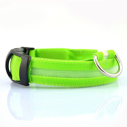 LED Safety Pet Collar - Rechargeable, Water Resistant, Soft & Durable Design for Dogs - Multiple Colors Available 5