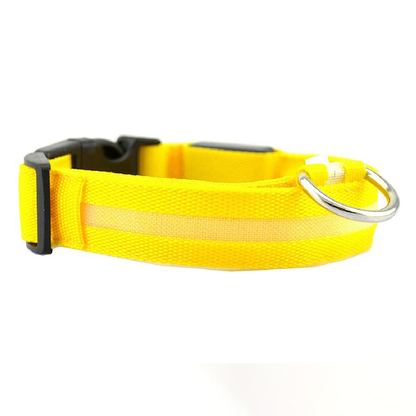 LED Safety Pet Collar - Rechargeable, Water Resistant, Soft & Durable Design for Dogs - Multiple Colors Available 6