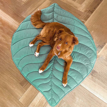 Leaf-Shaped Dog Bed – Soft, Breathable Pet Bed for Indoor and Outdoor Use, Ergonomic Support for Dogs and Cats 8
