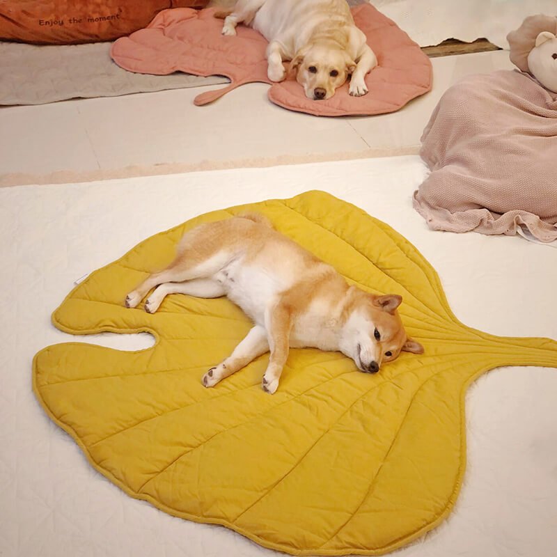 Leaf-Shaped Dog Bed – Soft and Breathable Pet Bed for Indoor and Outdoor Use 2