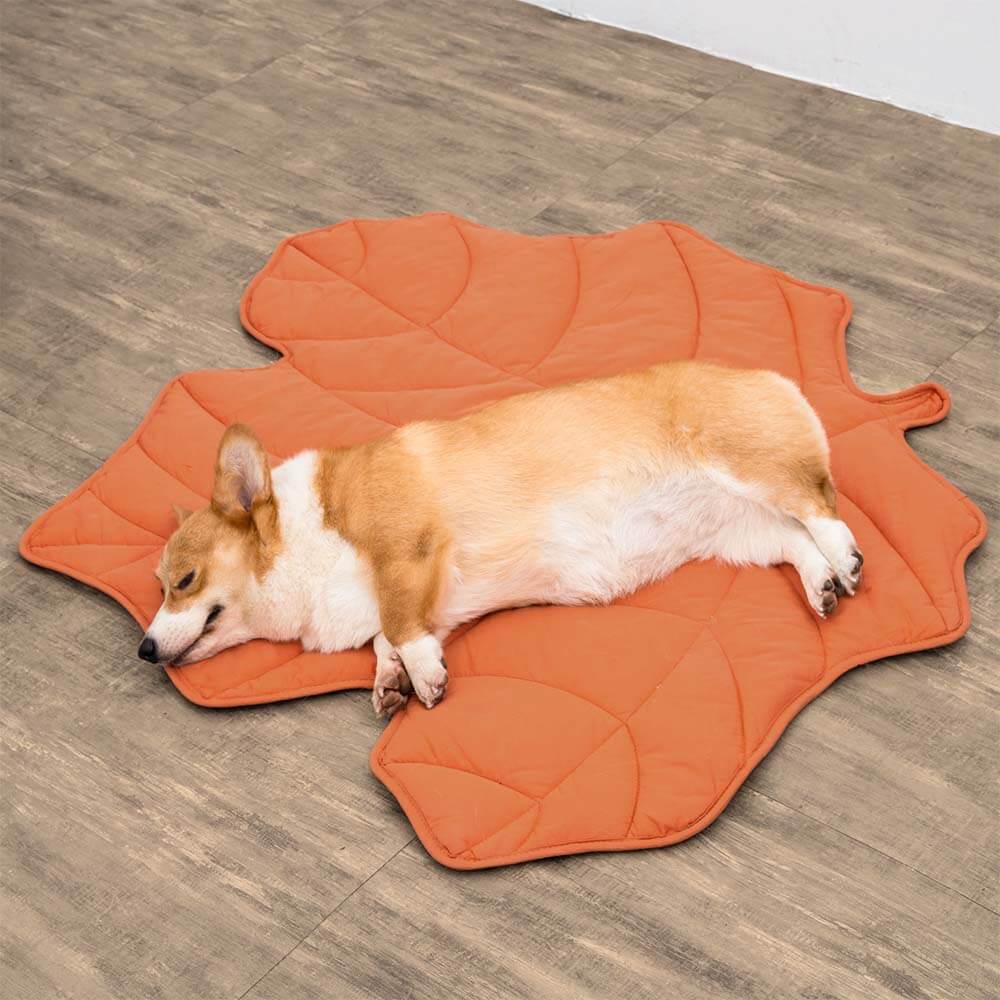 Leaf-Shaped Dog Bed – Soft and Breathable Pet Bed for Indoor and Outdoor Use 6