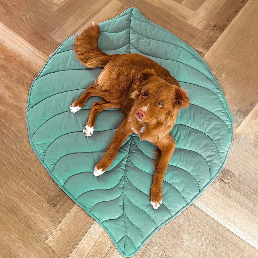 Leaf-Shaped Dog Bed – Soft and Breathable Pet Bed for Indoor and Outdoor Use 8