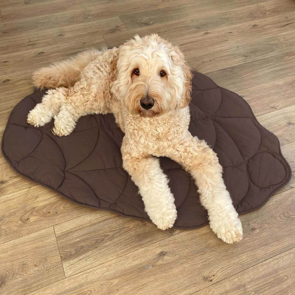 Leaf Shape Dog Blanket – Soft, Durable Pet Mat for Cozy Comfort and All Sizes – Machine Washable 4