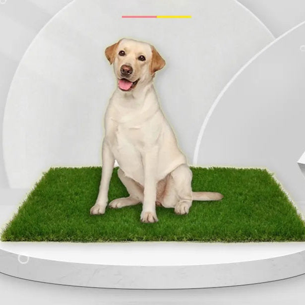 Leak-Proof Artificial Grass Dog Toilet Mat – Durable Indoor and Outdoor Solution for All Dog Sizes 0