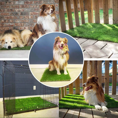 Leak-Proof Artificial Grass Dog Toilet Mat – Durable Indoor and Outdoor Solution for All Dog Sizes 2