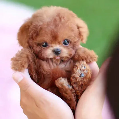 Lifelike robotic puppy plush toy with realistic movements and sounds, featuring soft synthetic leather for a cuddly companion suitable for all ages. 6