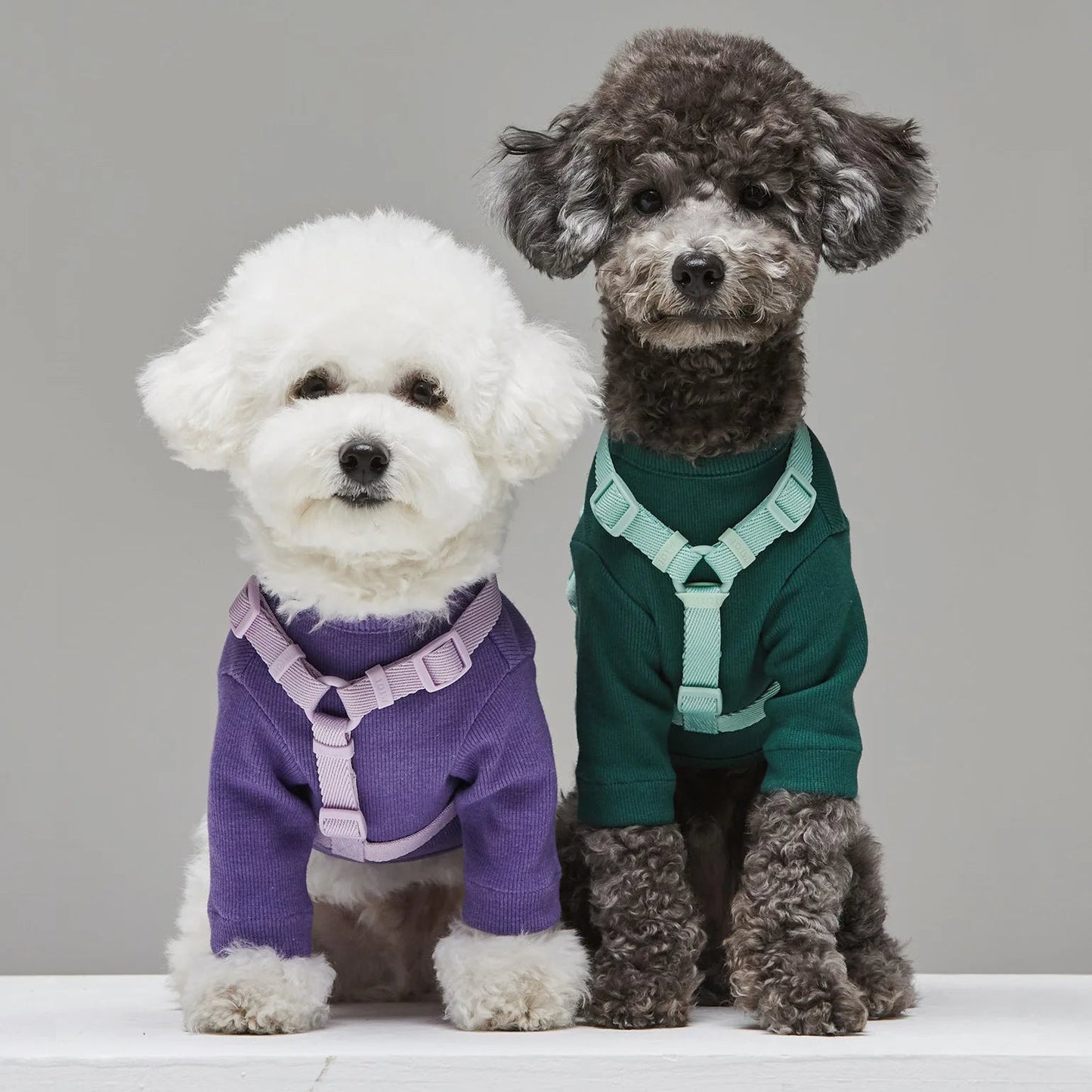 Lightweight Dog Harness and Dual-Head Leash Set for Small to Medium Dogs – Stylish Pastel Colors 1