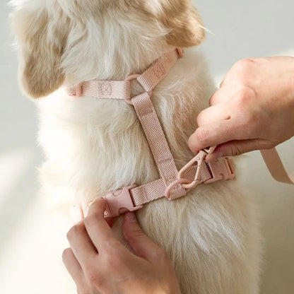 Lightweight Dog Harness and Dual-Head Leash Set for Small to Medium Dogs – Stylish Pastel Colors 3