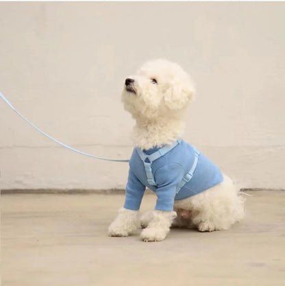 Lightweight Dog Harness and Dual-Head Leash Set for Small to Medium Dogs – Stylish Pastel Colors 4