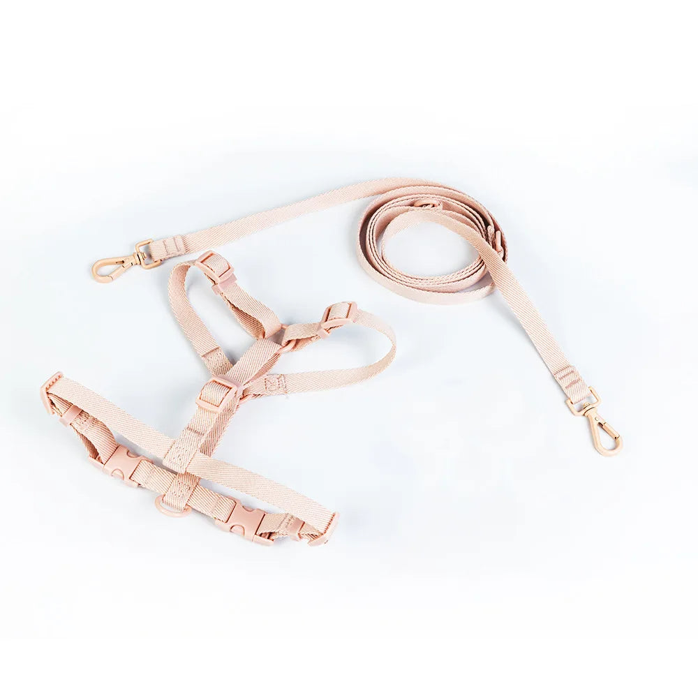 Lightweight Dog Harness and Dual-Head Leash Set for Small to Medium Dogs – Stylish Pastel Colors 7