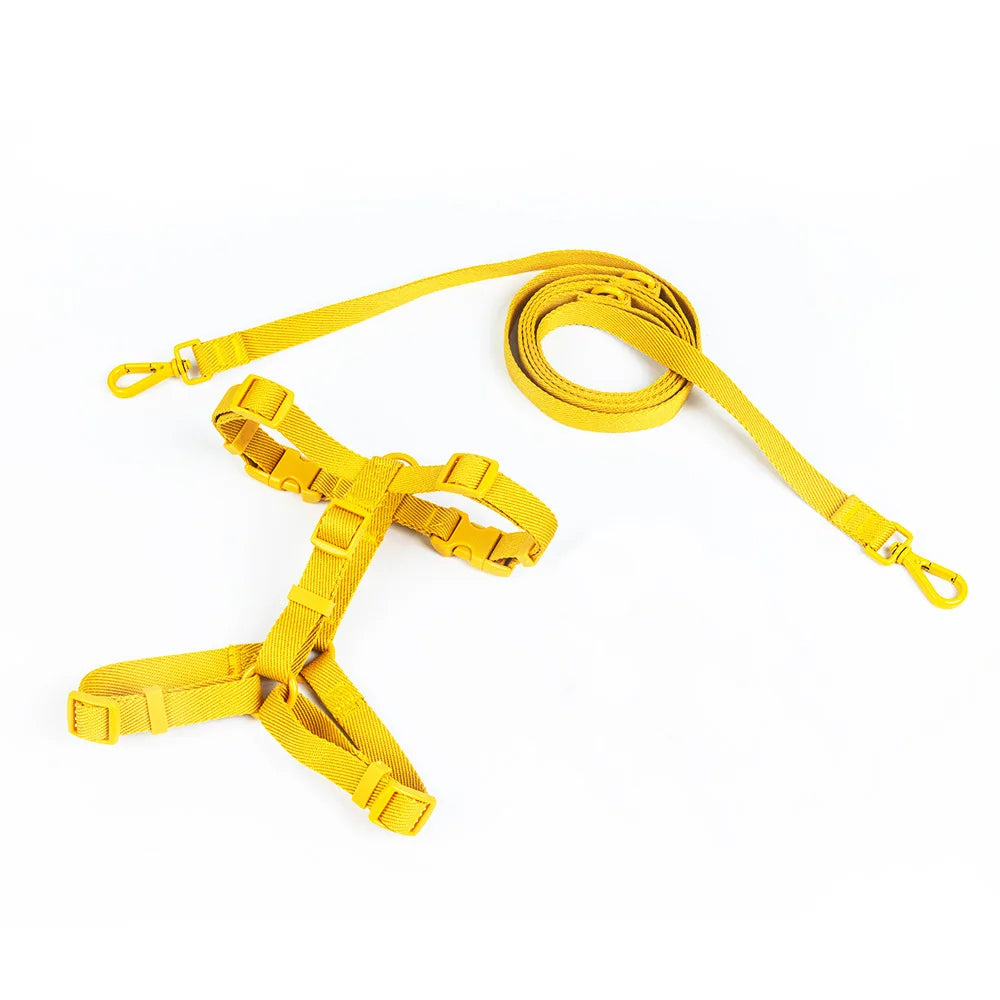 Lightweight Dog Harness and Dual-Head Leash Set for Small to Medium Dogs – Stylish Pastel Colors 8