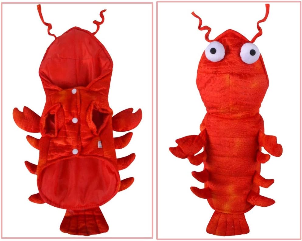 Lobster Dog Costume for Halloween and Themed Parties - Comfortable Fit, Sizes S to 4XL, Perfect Dog Outfit 6