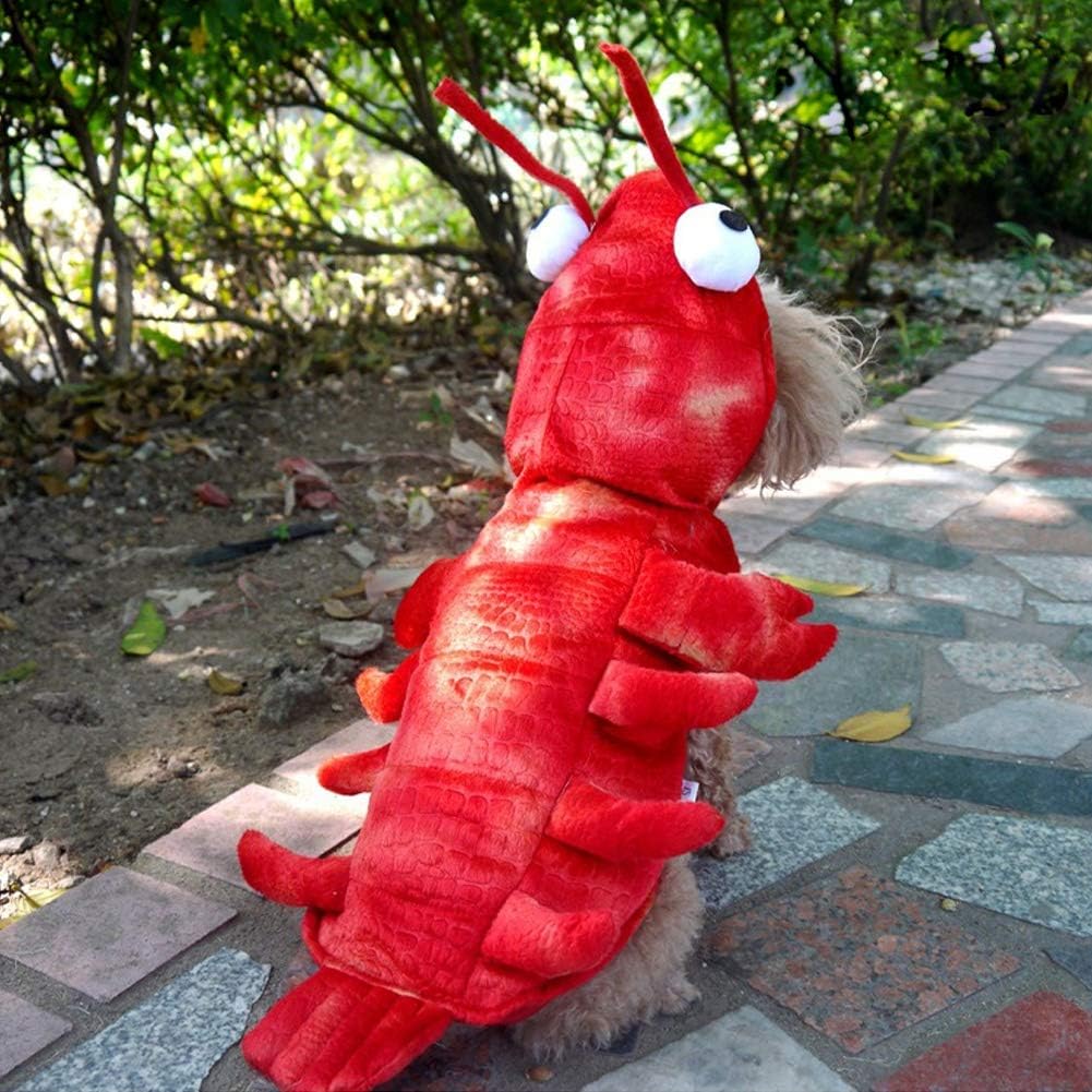 Lobster Dog Costume for Halloween and Themed Parties - Comfortable Fit, Sizes S to 4XL, Perfect Dog Outfit 7