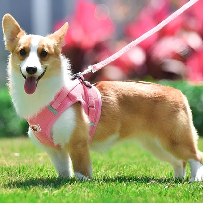 Luxury Velvet Dog Harness – Breathable Reflective Step-in Design for Stylish Comfort, Soft Fabric, Available in Multiple Sizes 1