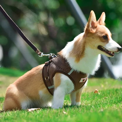 Luxury Velvet Dog Harness – Breathable Reflective Step-in Design for Stylish Comfort, Soft Fabric, Available in Multiple Sizes 2