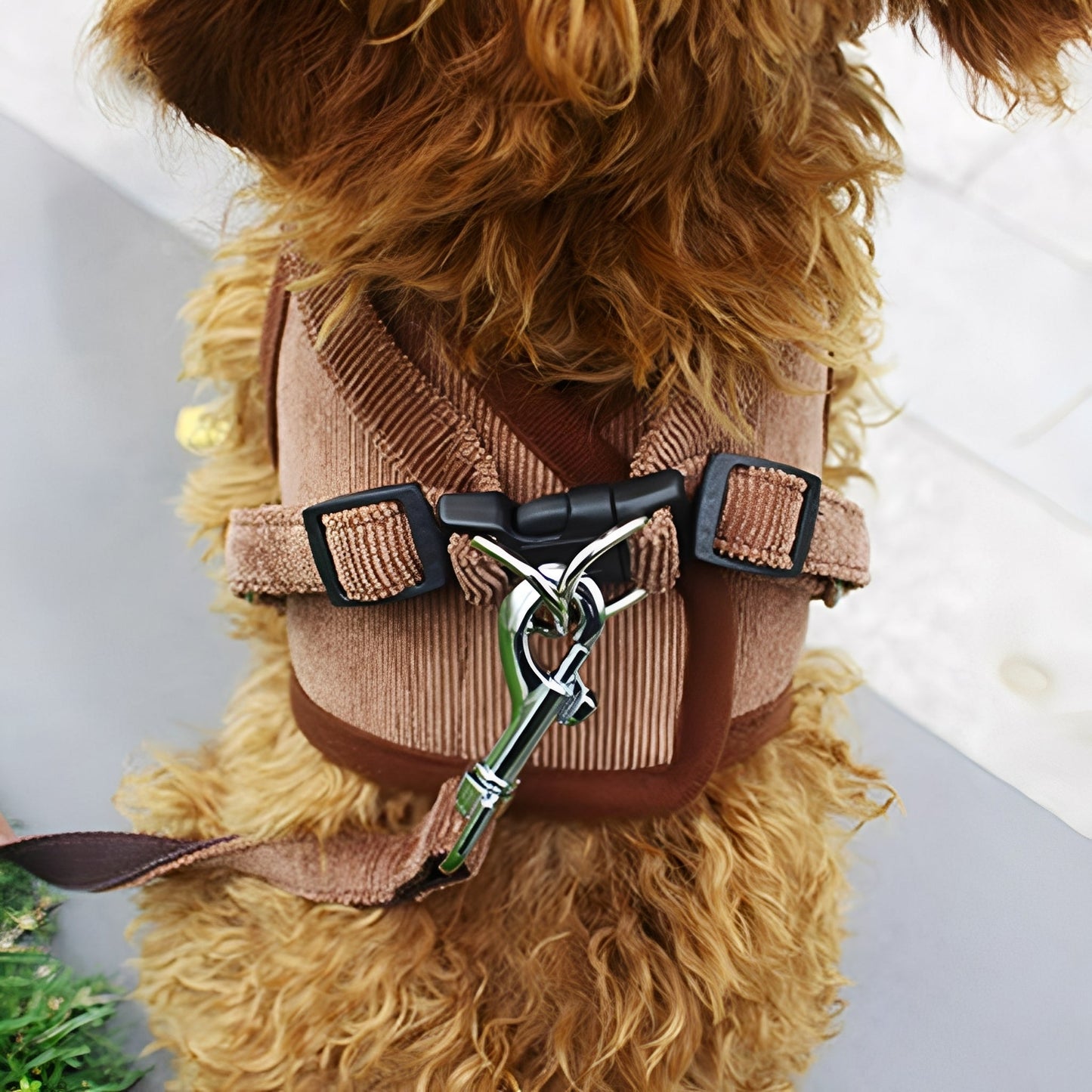 Luxury Velvet Dog Harness – Breathable Reflective Step-in Design for Stylish Comfort, Soft Fabric, Available in Multiple Sizes 3