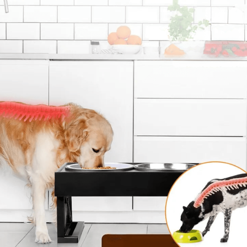 MealMate | Raised Dog Bowl with Mat 2