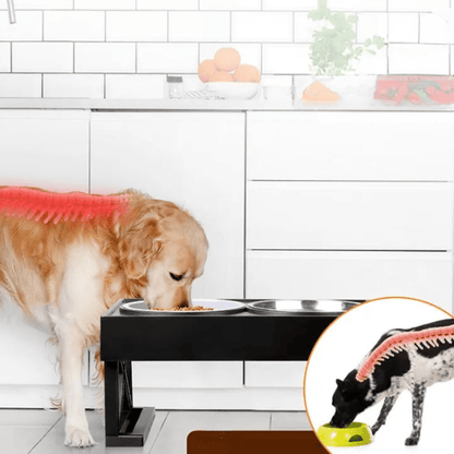 MealMate | Raised Dog Bowl with Mat 2