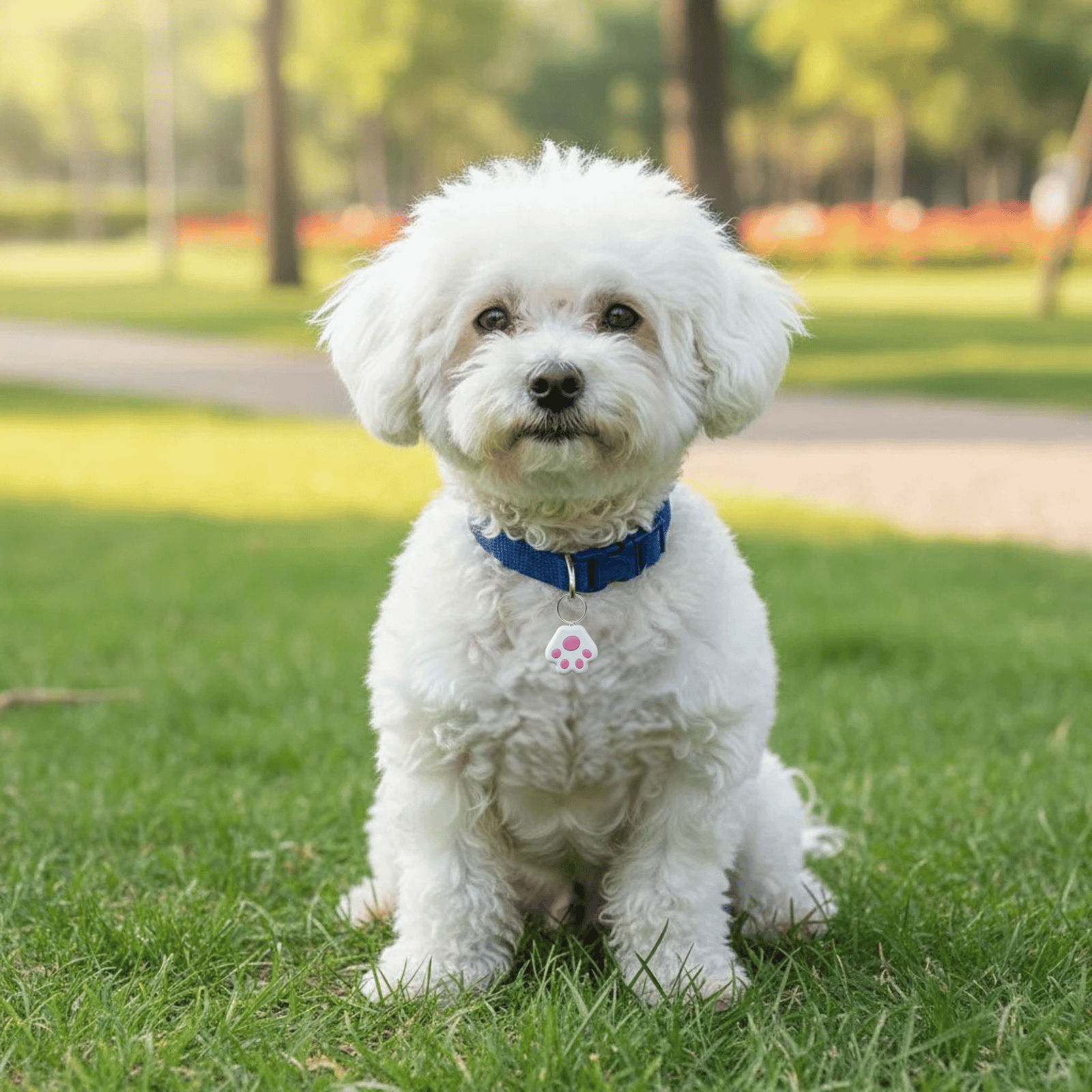 Mini Wireless Pet Tracker with Bluetooth Connectivity – Lightweight Dog Tracker for Easy Pet Monitoring 6