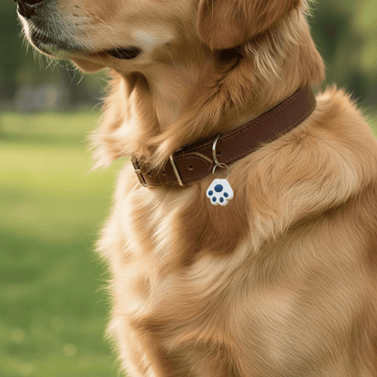 Mini Wireless Pet Tracker with Bluetooth Connectivity – Lightweight Dog Tracker for Easy Pet Monitoring 8