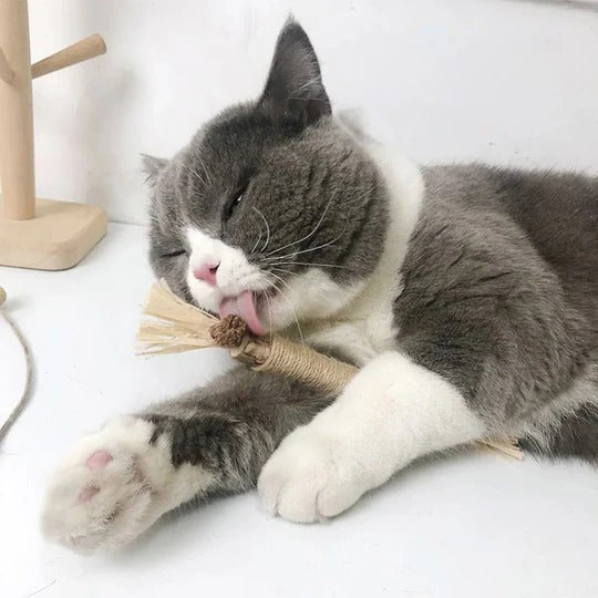 Natural Silvervine Cat Chew Toy Set – 3-Piece Interactive Chew Toys for Kittens and Adult Cats 0