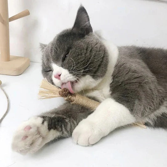 Natural Silvervine Cat Chew Toy Set – 3-Piece Interactive Chew Toys for Kittens and Adult Cats 0