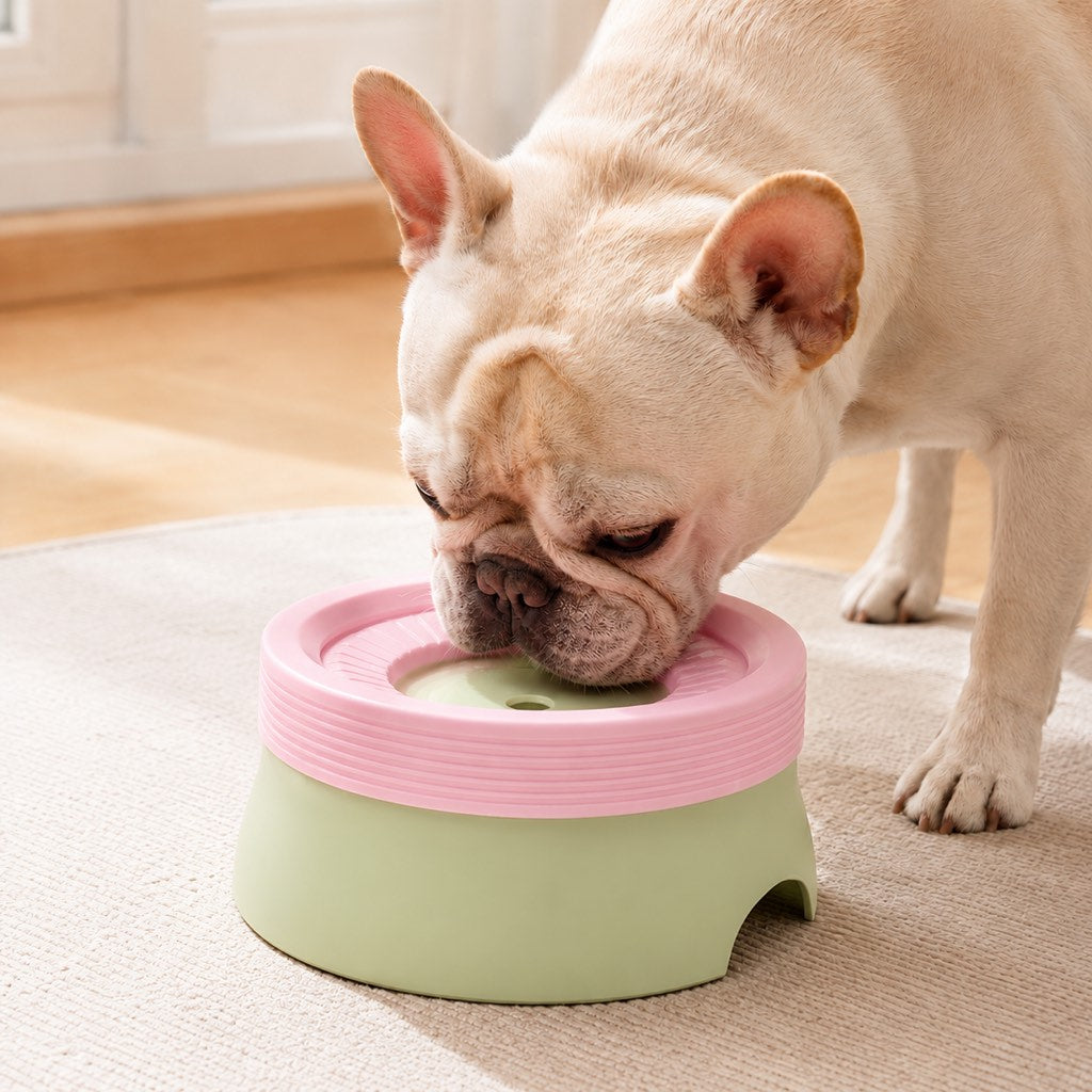 No-Drip Floating Water Bowl for pets, featuring controlled water flow and made from pet-safe plastic, ideal for indoor use with a 600ml 0