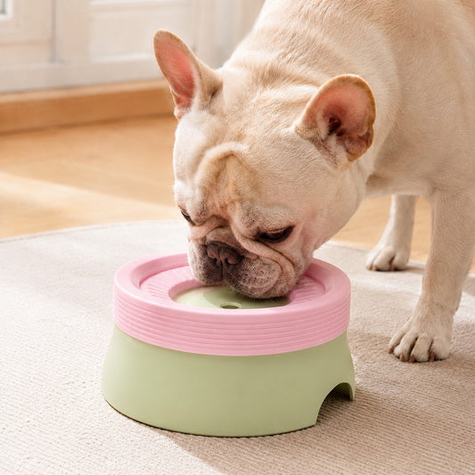 No-Drip Floating Water Bowl for pets, featuring controlled water flow and made from pet-safe plastic, ideal for indoor use with a 600ml 0