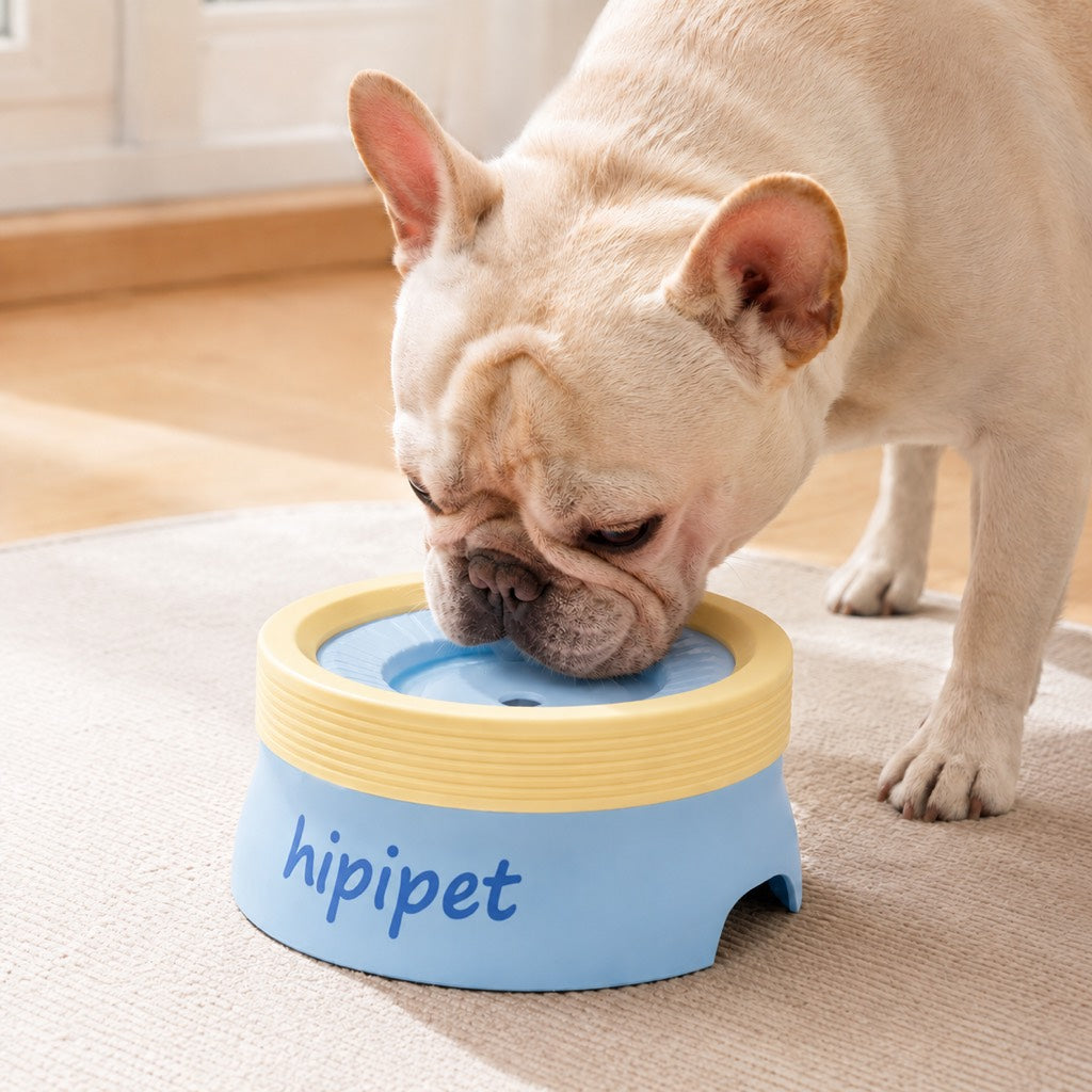 No-Drip Floating Water Bowl for pets, featuring controlled water flow and made from pet-safe plastic, ideal for indoor use with a 600ml 10