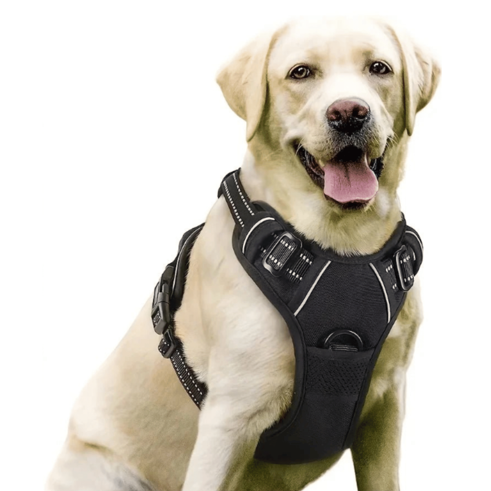 No Pull Dog Harness for Large Dogs with Front Clip – Comfortable and Durable Design 1