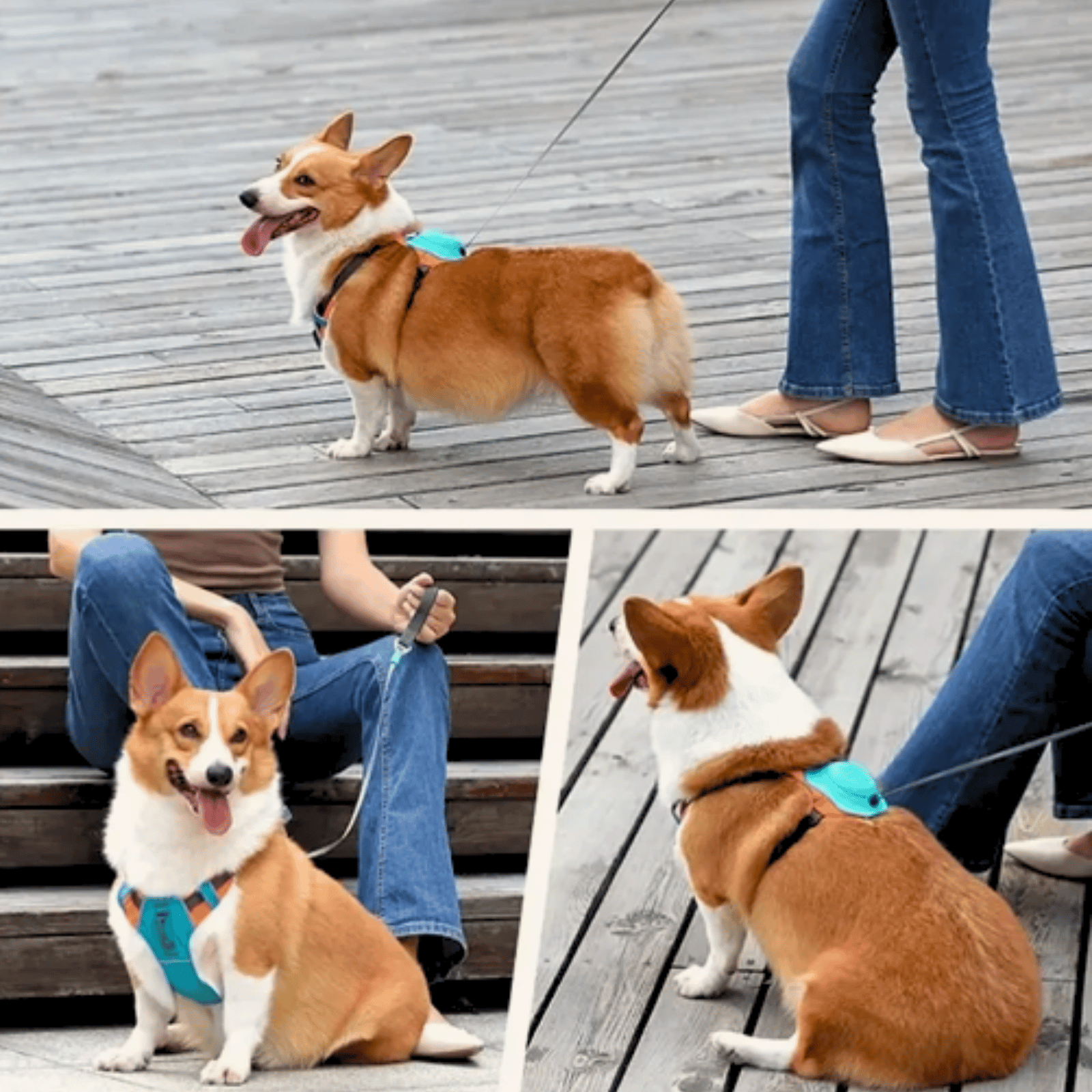 No Pull Dog Harness for Small to Medium Dogs – Adjustable, Breathable, Reflective with Automatic Leash 7