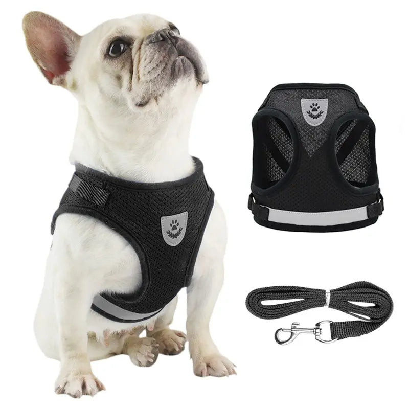 No Pull Dog Harness for Small to Medium Dogs – Breathable Adjustable Reflective Vest for Safe Outdoor Activities 1