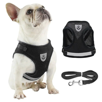 No Pull Dog Harness for Small to Medium Dogs – Breathable Adjustable Reflective Vest for Safe Outdoor Activities 1