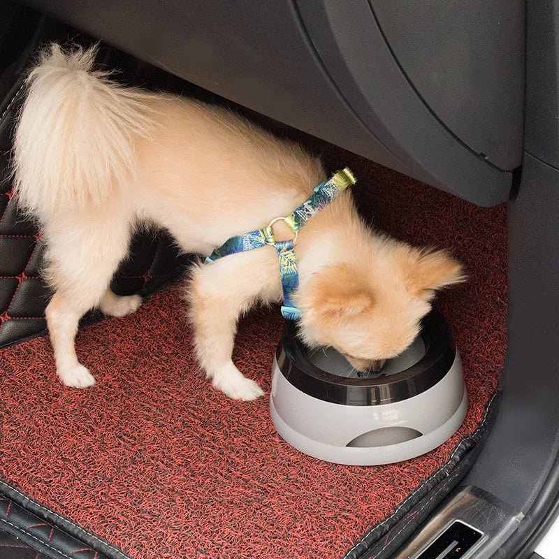Non-Slip Anti-Spill Pet Drinking Bowl for Dogs and Cats – Splashproof and Hygienic Design 4