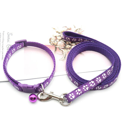 Nylon Dog Leash Set with Soft Grip – 120cm Length for Small and Medium Dogs in Multiple Colors 2