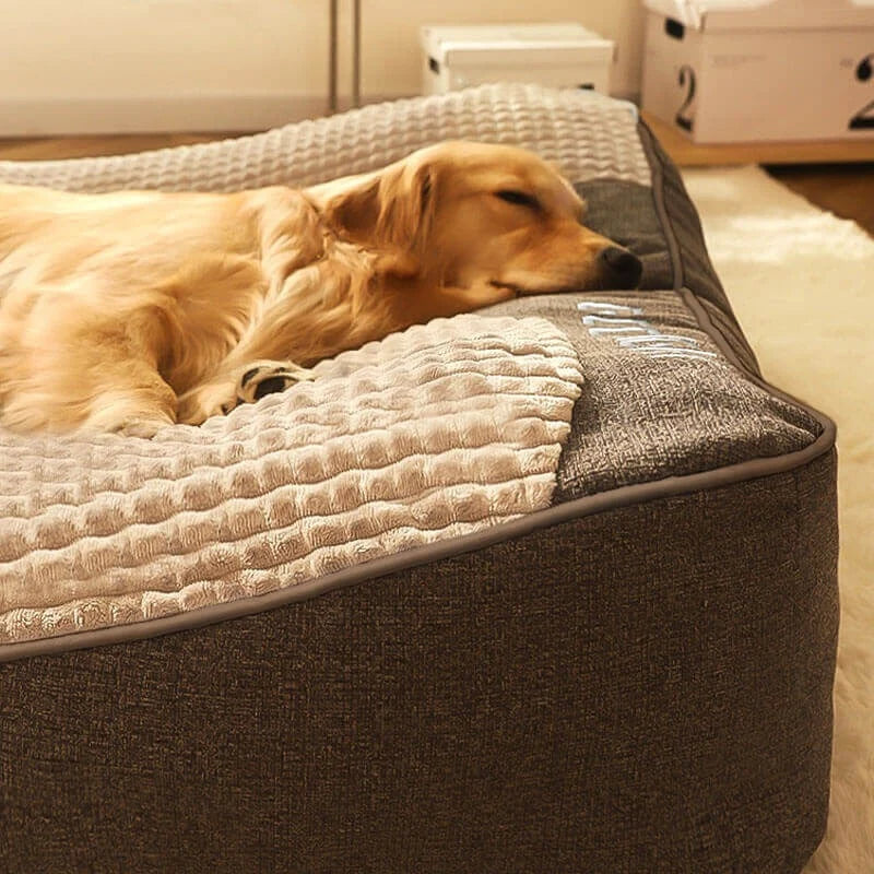 Orthopedic dog bed with elevated bolster edge, featuring a soft velour removable cover, designed for large dogs to provide ultimate comfort and support. 0