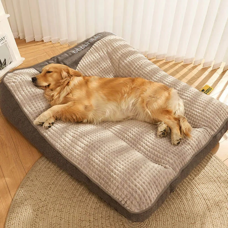 Orthopedic dog bed with elevated bolster edge, featuring a soft velour removable cover, designed for large dogs to provide ultimate comfort and support. 2