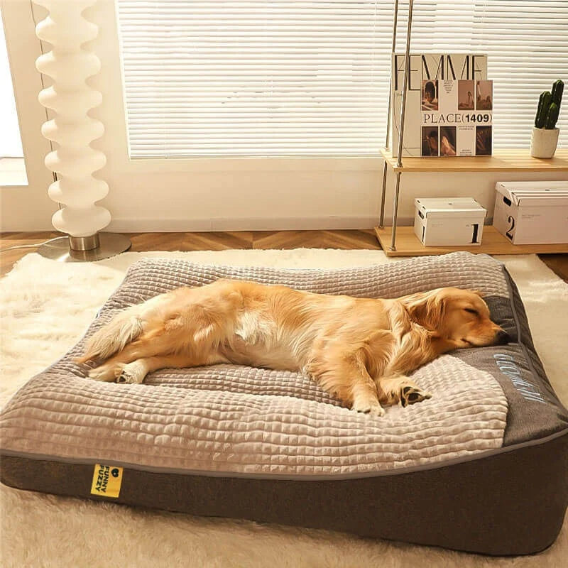 Orthopedic dog bed with elevated bolster edge, featuring a soft velour removable cover, designed for large dogs to provide ultimate comfort and support. 3